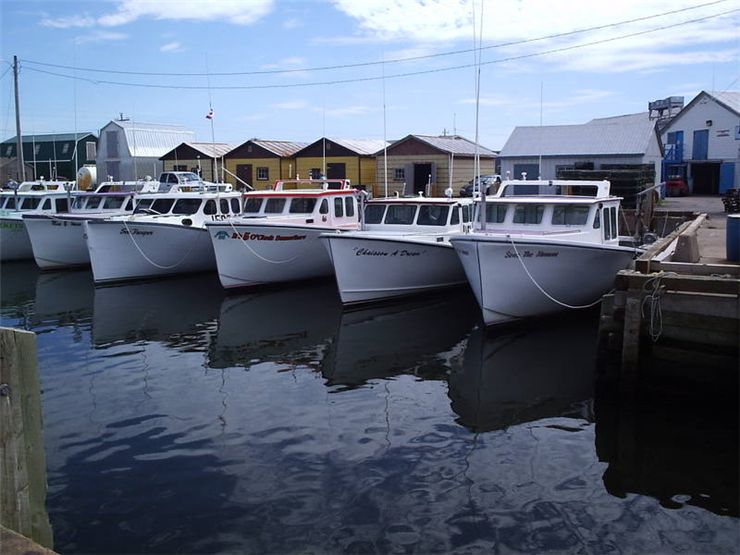 Picture Of Fishing Boats