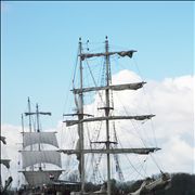 Picture Of White Sails